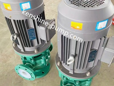 GF Fluoroplastic  inline Pump / 2