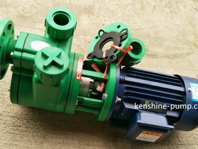 FPZ  FRPP self-priming pump / 2