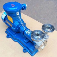SS Vortex water pump