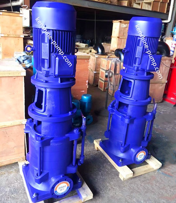 DL Vertical booster water pump