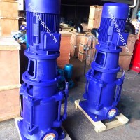 DL Vertical booster water pump