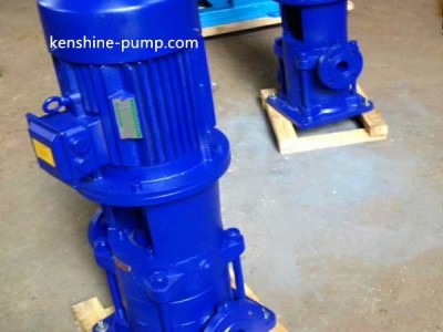 DL Vertical booster water pump / 2