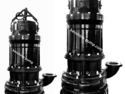 ZJQ Submersible slurry pump / 2