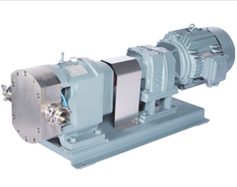 Lobe rotor pump