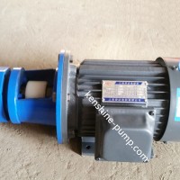 BB-B Gear oil transfer pump