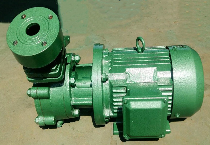 WZ Selfpriming vortex pump