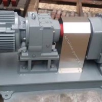 SS lobe rotor pump
