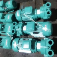 2BV water ring vacuum pump