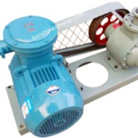 YQB Yqb Lpg Transfer Pump