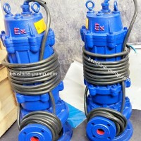 Ex-proof submersible  pump