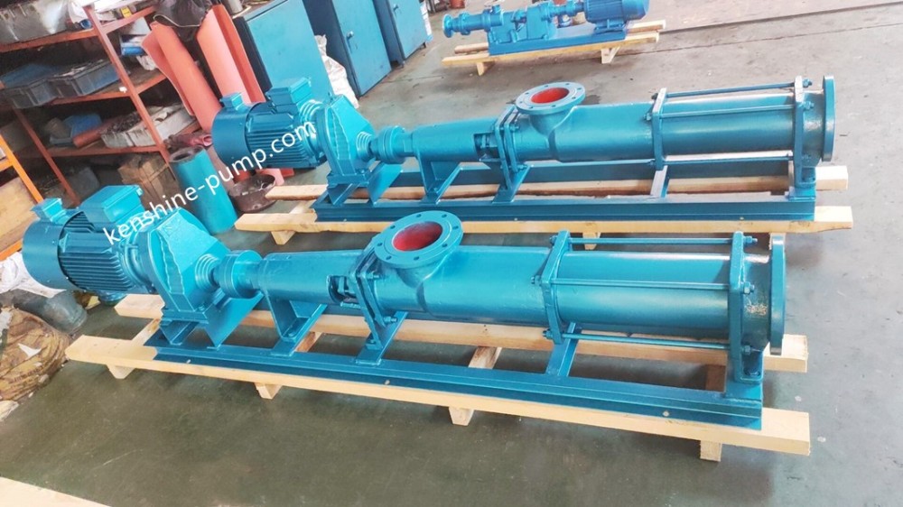 Positive displacement pump