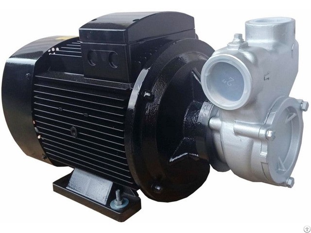Self priming vortex pump
