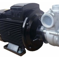 Self priming vortex pump